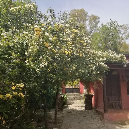 Eco Moyano Posada Gaucín المظهر الخارجي الصورة
