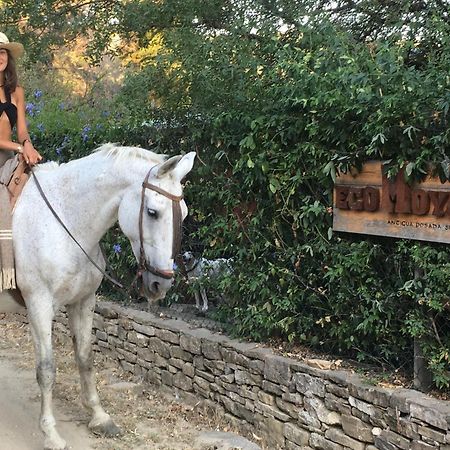 Eco Moyano Posada Gaucín المظهر الخارجي الصورة