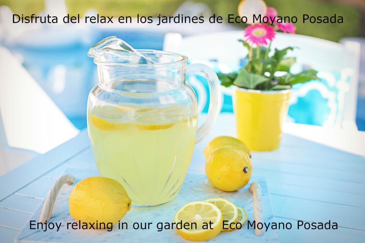 Eco Moyano Posada Gaucín المظهر الخارجي الصورة