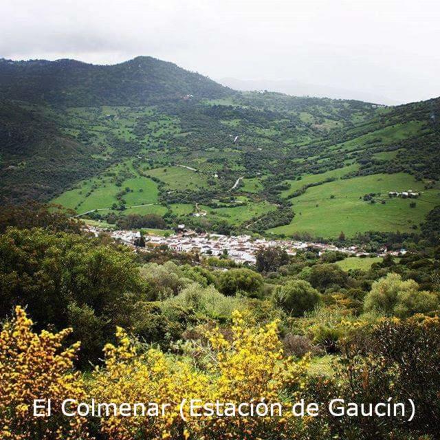 Eco Moyano Posada Gaucín المظهر الخارجي الصورة