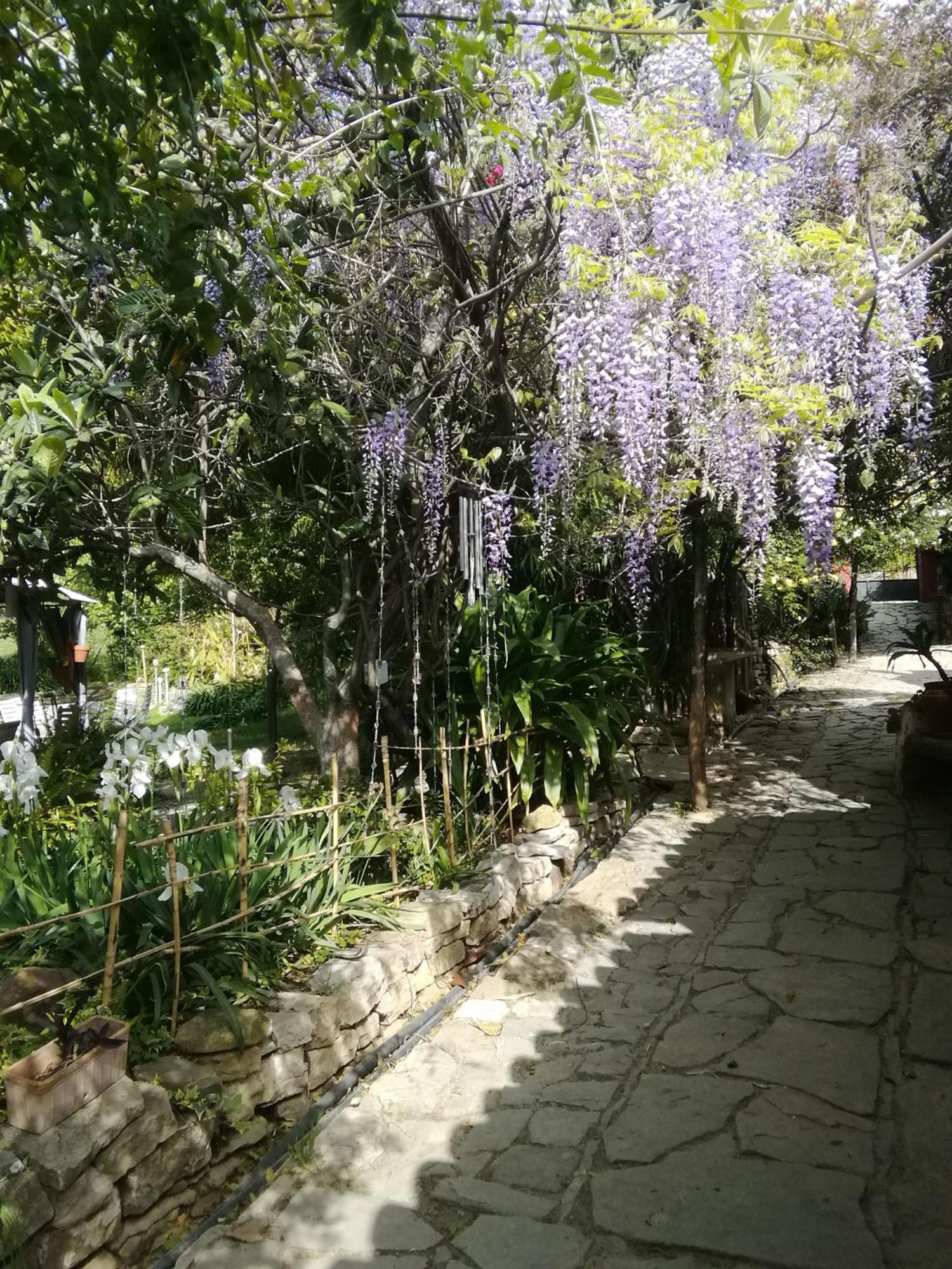 Eco Moyano Posada Gaucín المظهر الخارجي الصورة