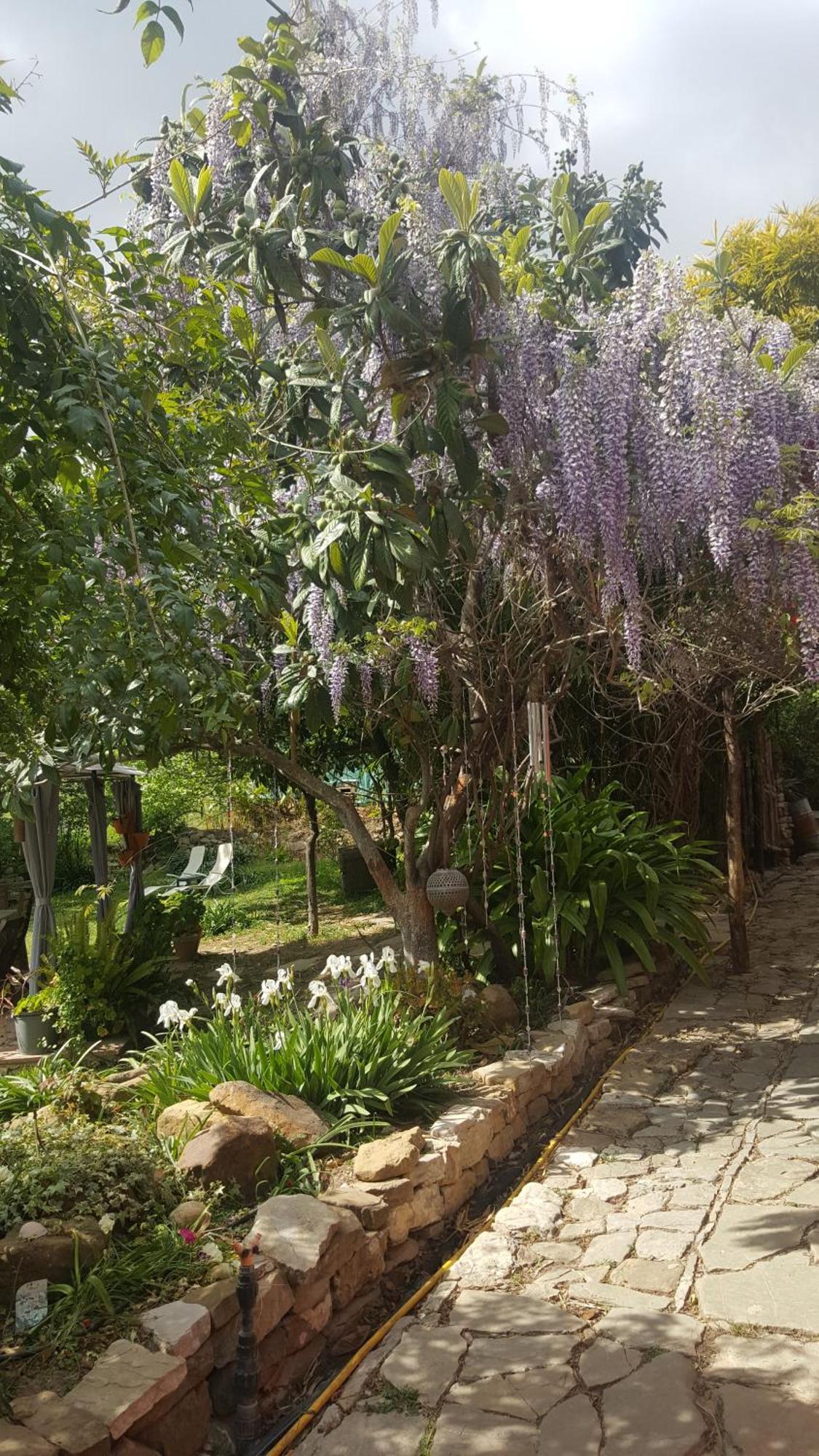 Eco Moyano Posada Gaucín المظهر الخارجي الصورة